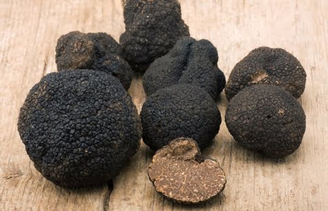 Médiatisation autour de la glace à la truffe !