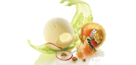 HELADO DE CITRONELA, SABLÉ DE SALMÓN CON FLOR DE ENELDO, MOSTAZA A LA ANTIGUA Y PEPINO AMARGO