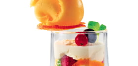 SORBETE DE MANDARINA BIO, Y VASITO DE MOUSSE DE MASCARPONE, COULIS DE MARACUYÁ, FRUTOS ROJOS Y MANDARINAS CARAMELIZADAS
