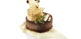 BASE OF VEGAN CHOCOLATE ICE CREAM, CYLINDER OF VEGAN COFFEE ICE CREAM, ON AN ALMOND MILK BASE, CANDIED SQUASH AND COFFEE BEANS, STEVIA LEAVES AND COCONUT CHIPS