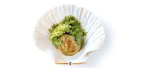 Coquille Saint-Jacques et le sorbet « roquette à la fleur de sel»