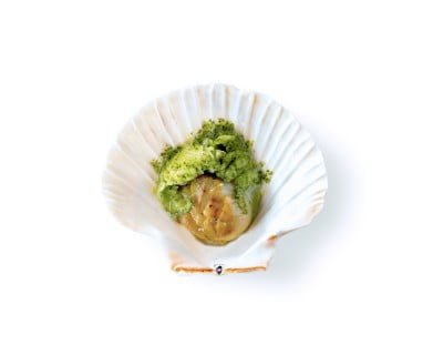 Coquille Saint-Jacques et le sorbet « roquette à la fleur de sel»