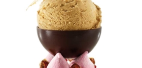 NUBES, AVELLANAS CARAMELIZADAS, BAYAS ROJAS Y BOL DE CHOCOLATE CON HELADO DE AVELLANA PRALINÉ BIO