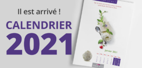 Le calendrier 2021 est arrivé !