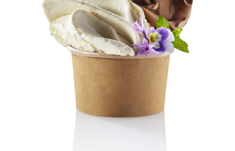 Bouquet de glaces au lait frais Vanille à l'infusion de gousses Bourbon et Chocolat noir G...