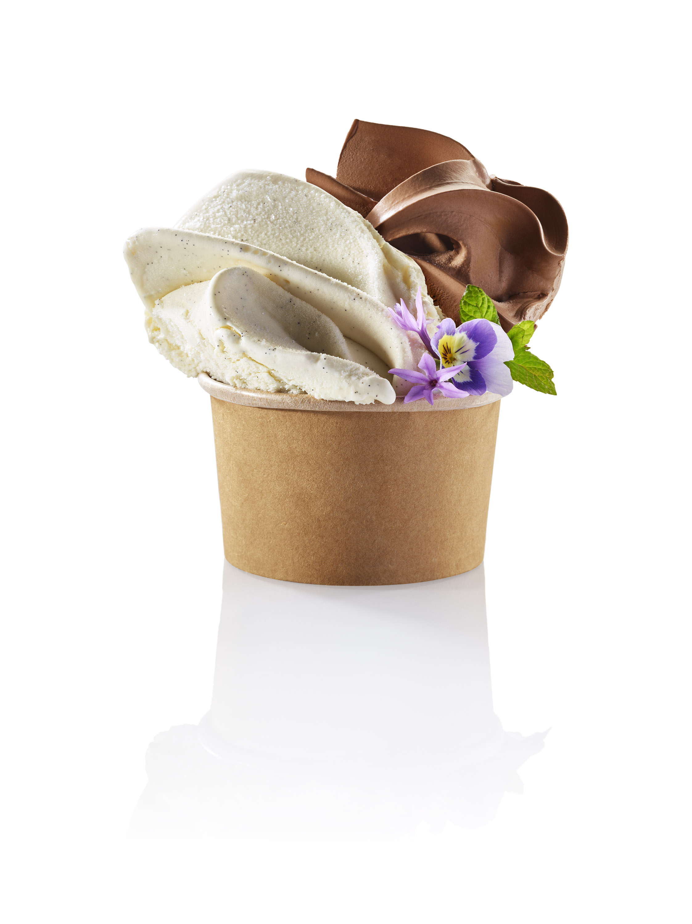 RAMO DE HELADOS CON LECHE FRESCA DE VAINILLA CON INFUSIÓN DE VAINAS BOURBON Y DE CHOCOLATE NEGRO GUANAJA EN UNA TARRINA PEQUEÑA