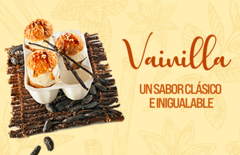Helados de Vainilla: Todo sobre nuestras recetas 2021