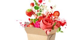 Explosion printanière - Sorbet Absolument Fraise