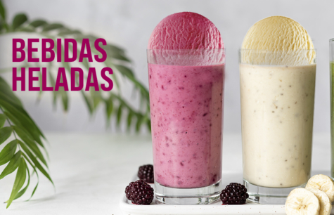 BEBIDAS HELADAS PARA EL VERANO