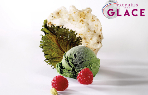 APPEL A CONCOURS -3ème édition des Trophées de la Glace