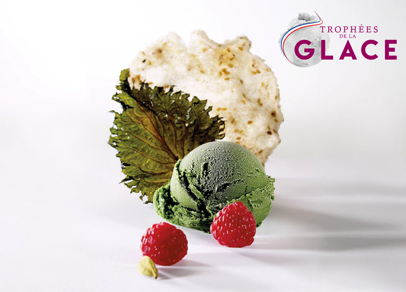 APPEL A CONCOURS -3ème édition des Trophées de la Glace