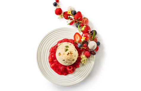 Fruits rouges et crème glacée Gâteau façon 