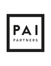 Logo PAI Partner