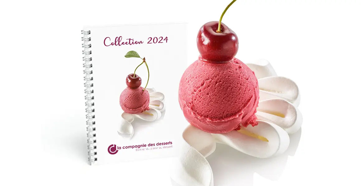 Notre catalogue 2024, glaces, desserts et pâtisseries.